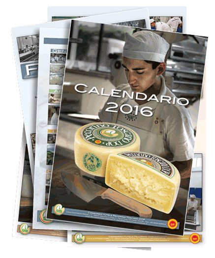 pecorino16